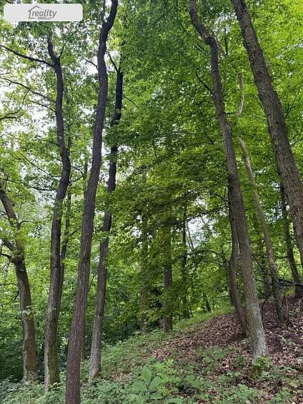 Prodej Pozemek, Heřmanice, okres Havlíčkův Brod