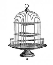 Dome Bird Cage Clip Art 