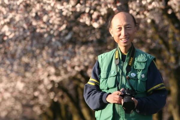 Cherry Scouts - Vancouver Cherry Blossom Festival