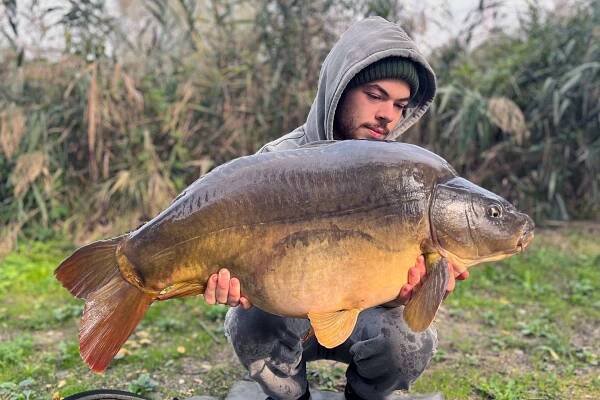 Mirror Carp 14.0 kg. - Specimen Baits