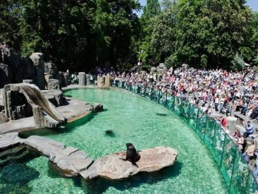 POHLEDEM Miroslava Bobka: Zoo Praha v absolutní světové špičce