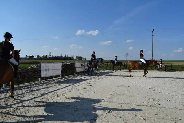den země JCMP 2018 | Jockey Club Malý Pěčín