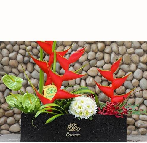 Big Box Spider Anthuriums, Daisy & heliconia