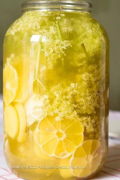 Bezinková limonáda | Recipe | Liqueurs recipes, Natural vitamins, Food humor