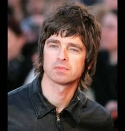 noel david 