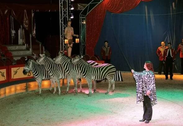 Cirkus Berousek v Prostějově: 8.-10. května