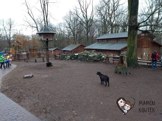 ZAJÍMAVÁ MÍSTA: Zoo (Ostrava)
