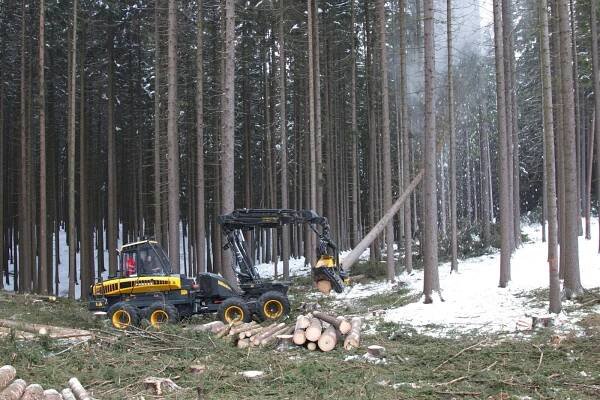 Lesní těžba dřeba a výroba dřevěných domů - Havlíčkův Brod | Pila Rozsochatec