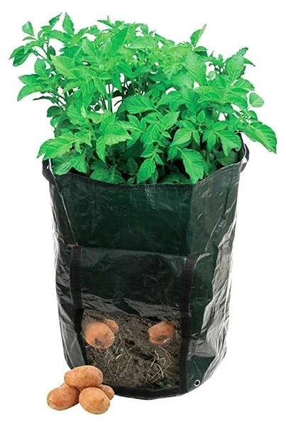 APT AG691 taška na sázení brambor 330 x 470 mm zelená