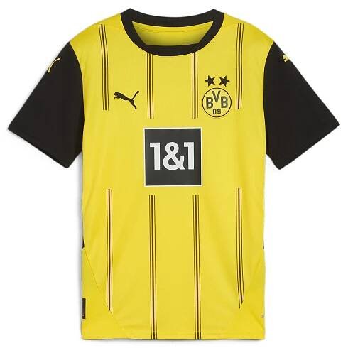 Dětský fotbalový dres Borussia Dortmund 24/25 PUMA Faster Yellow Black