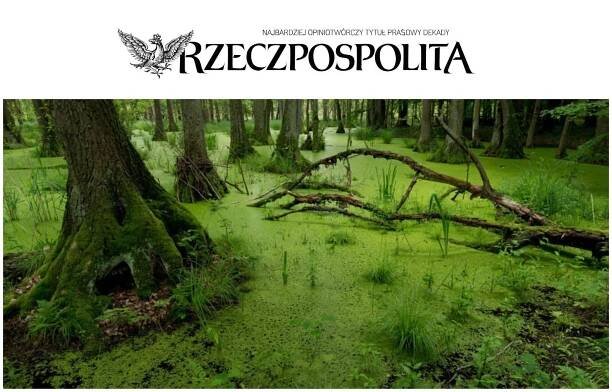 Odszkodowanie za wywłaszczenie - wywlaszczenie.pl