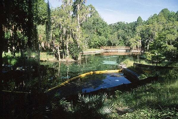 Crystal Springs, Florida - Wikipedia