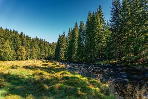 Kategorie: Příroda a zvířata – Tomáš Kopecký - Fotografické portfolio