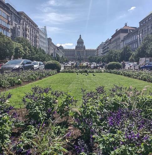 Praha má nový web, který informuje o správě a rozvoji zeleně v hlavním městě