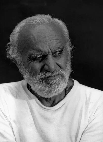 Remo Remotti - Ho rubato la marmellata: Vita di un artista politicamente scorretto - Z filmu