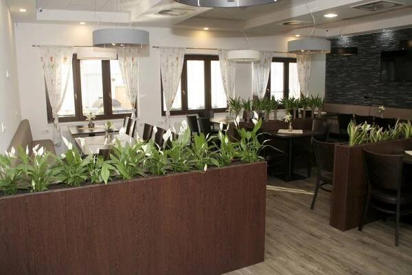 Restaurace