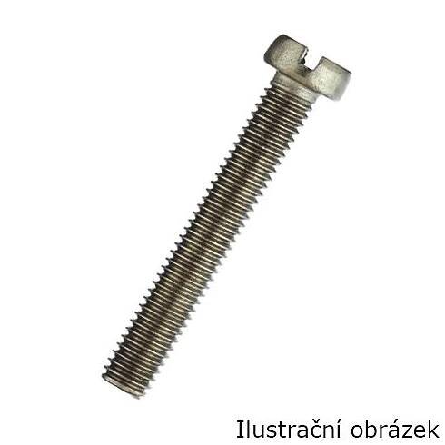 Šroub M3 5mm DIN84A
