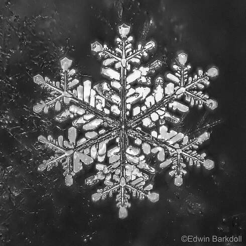 Crystalline Entities – Snow, Hoarfrost and Rime Ice