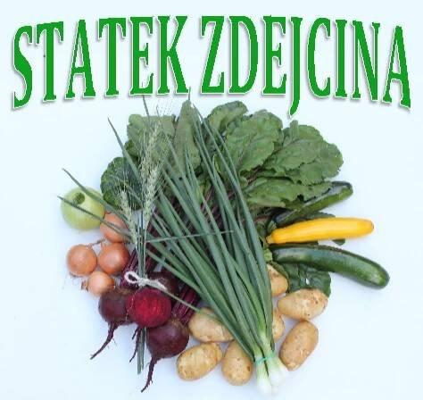 Statek Zdejcina