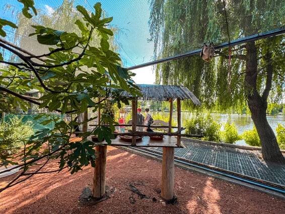 Eko park - Prechádzka po parku