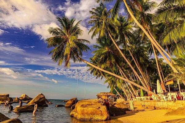 Rich Hughes - Hòn Sơn (Son Island)