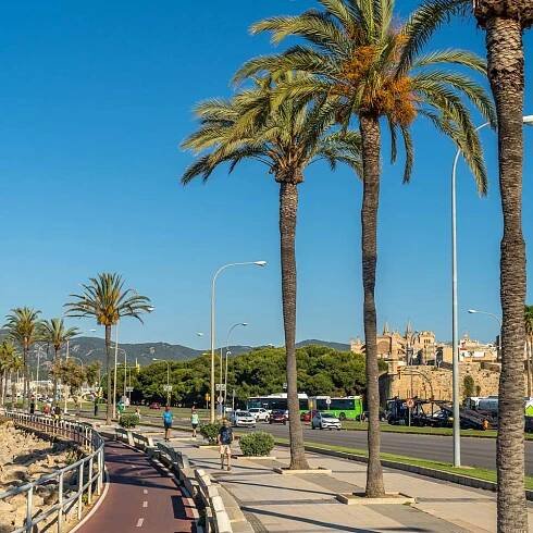 Can Pere Antoni Beach