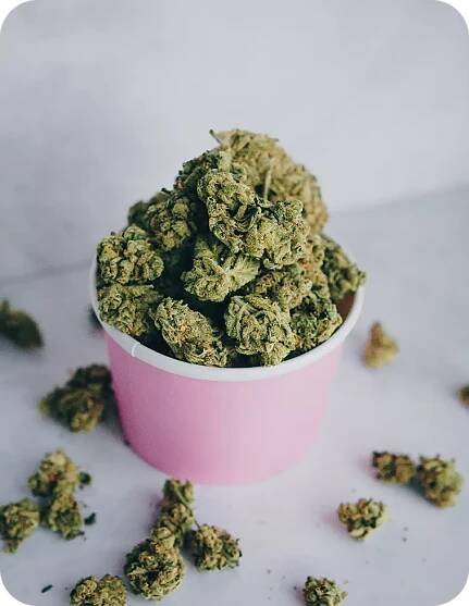 Jack Herer 15% THCP