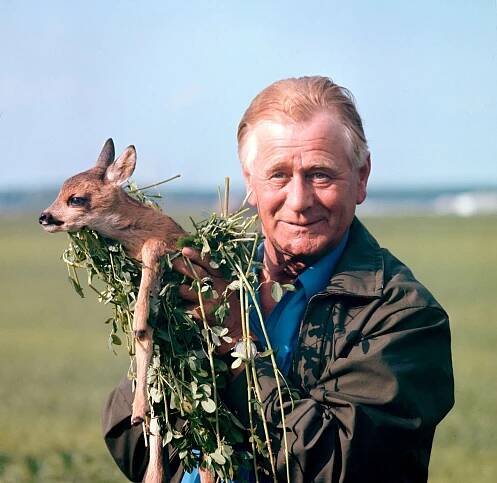 Heinz Sielmann mit verwaistem Rehkitz