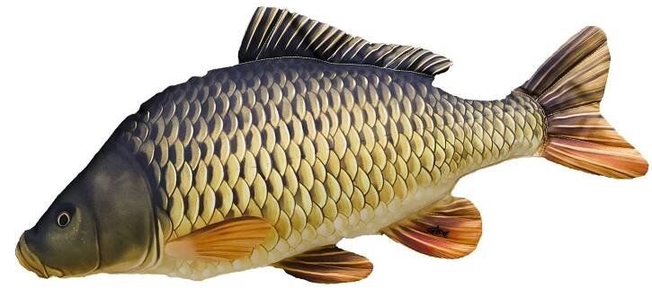 Polštář Kapr šupinatý - 36 cm | Dedoles