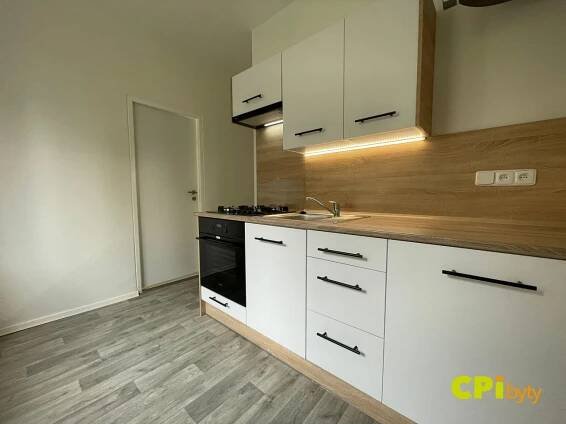 Pronájem bytu 2+1, 55.6m2