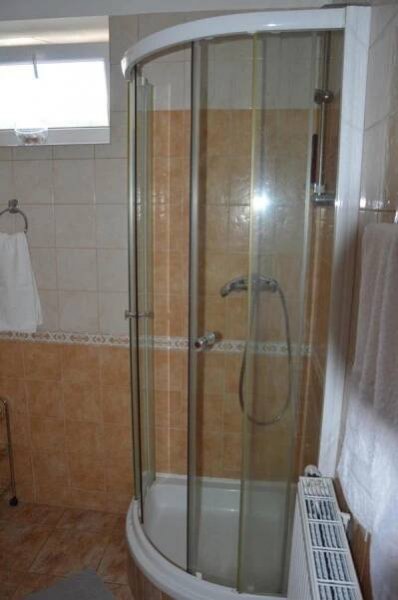 a shower with a glass door in a bathroom at Apartmány Divoký Anděl in Dolní Moravice