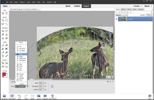 Adobe Photoshop Elements Review