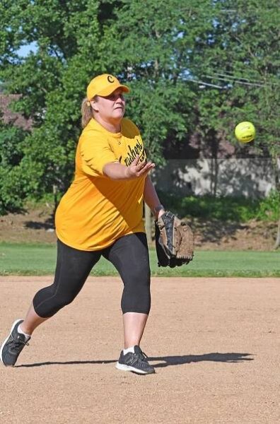 Picnic and Softball 2019 - The Lawyers Association of St. Louis