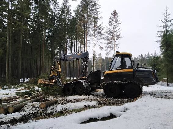 Aktuálně | ROZHOVOR: Je stresující sledovat, jak 80 let života stromu naporcuje harvestor během jedné minuty