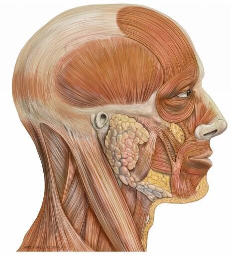 http://sdc.saveetha.com/news — dentistry @ saveetha