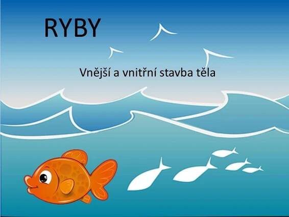 Stavba těla ryb – Materiály pro žáky ZŠ