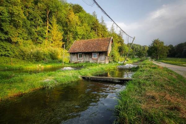 Jak Krtek ke kaprovi přišel - iRybářství