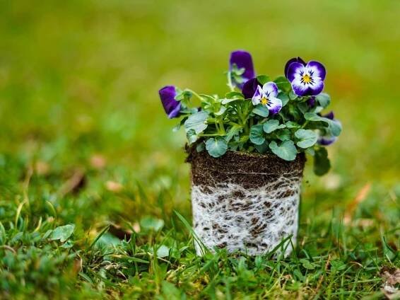 Produktová fotografie od hradecké fotografky Aleny Kašparové