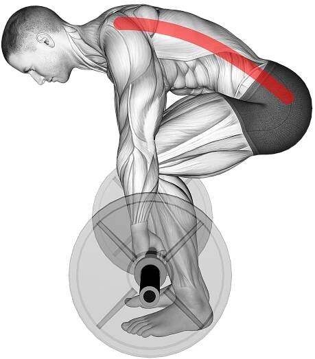 deadlift lower back rounding