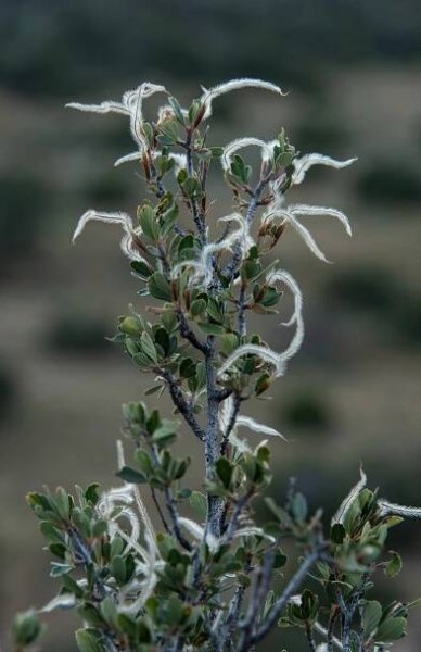 John F Hill Fine Photography - New Mexico
