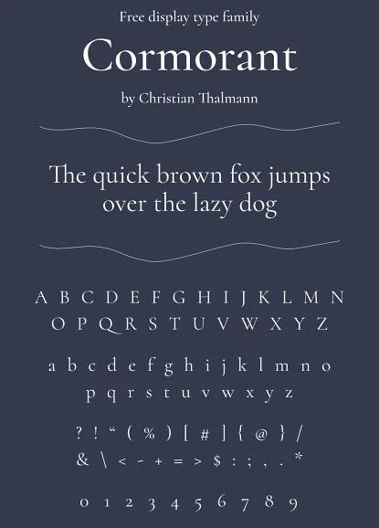 35+ Best Fonts for T-shirts in 2022: Free and Premium