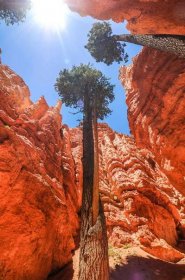 Bryce Canyon: Wandelen door het land van de Indian Legend People