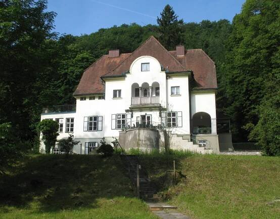 Kochholz