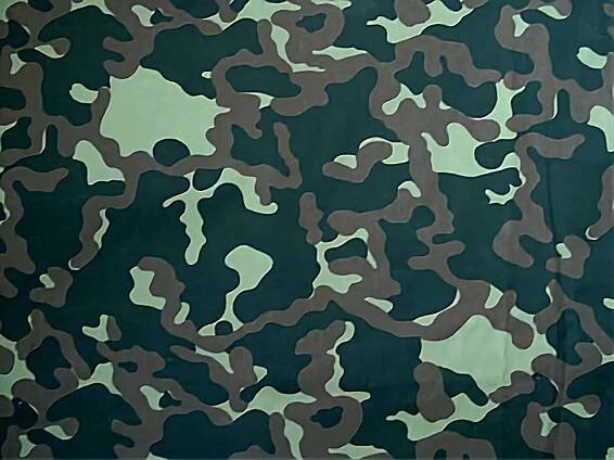 Dubok (camouflage)
