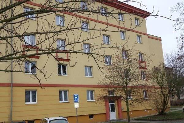 Koučka Petra Kolářová foto 1
