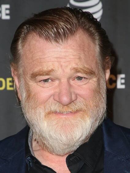Brendan Gleeson - Actor