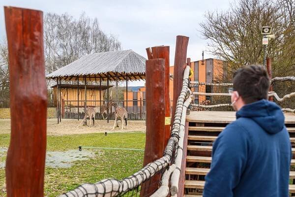 FOTO: Safari park zaplavily kočárky, první den přišly čtyři stovky návštěvníků
