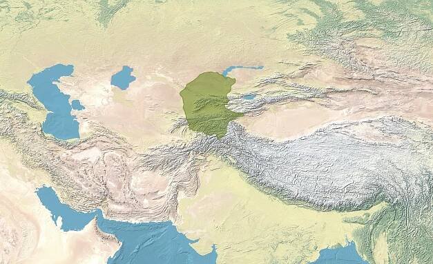 Khanate of Kokand - Wikidata