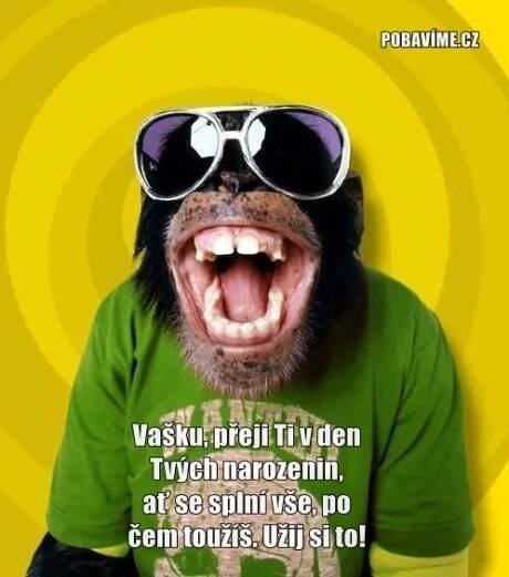Přání k svátku pro Erika | Pobavime.cz