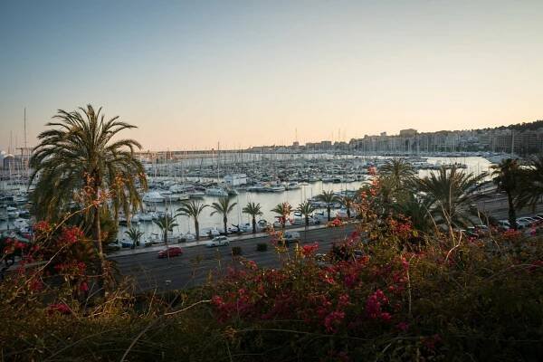 Palma Map: 50+ Things To Do In Palma De Mallorca & Palma Shopping